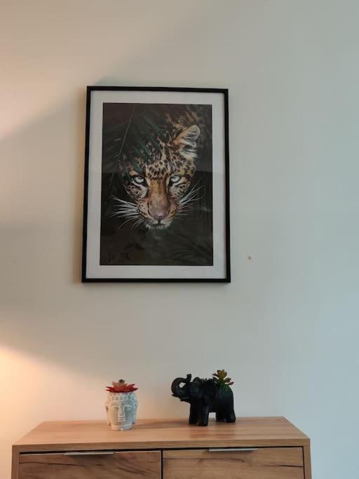 Apartmán La Jungle Urbaine Avec Garage Prive & Climatisation Perpignan Exteriér fotografie