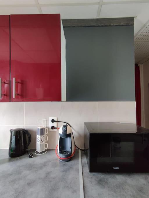 Apartmán La Jungle Urbaine Avec Garage Prive & Climatisation Perpignan Exteriér fotografie