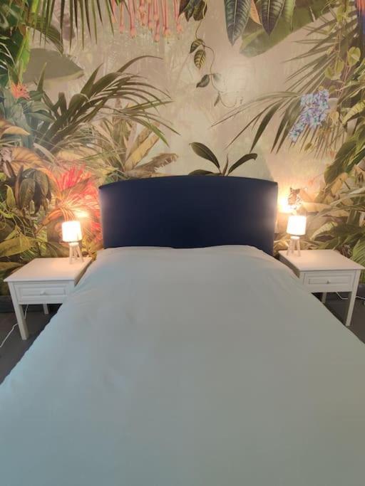 Apartmán La Jungle Urbaine Avec Garage Prive & Climatisation Perpignan Exteriér fotografie