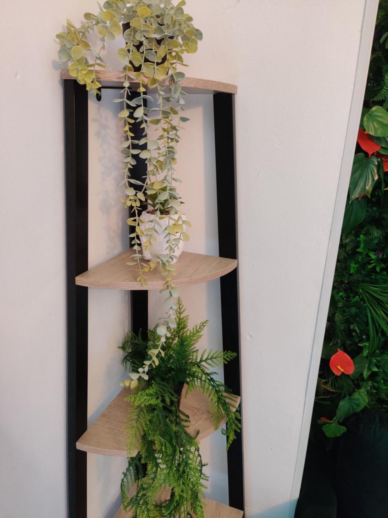 Apartmán La Jungle Urbaine Avec Garage Prive & Climatisation Perpignan Exteriér fotografie