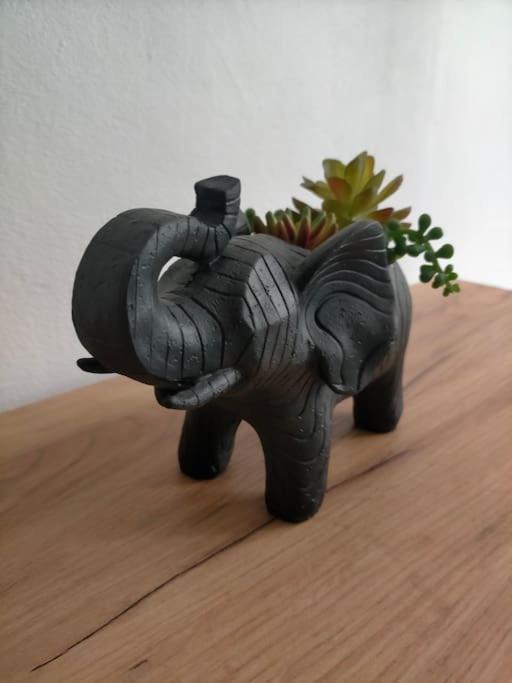 Apartmán La Jungle Urbaine Avec Garage Prive & Climatisation Perpignan Exteriér fotografie