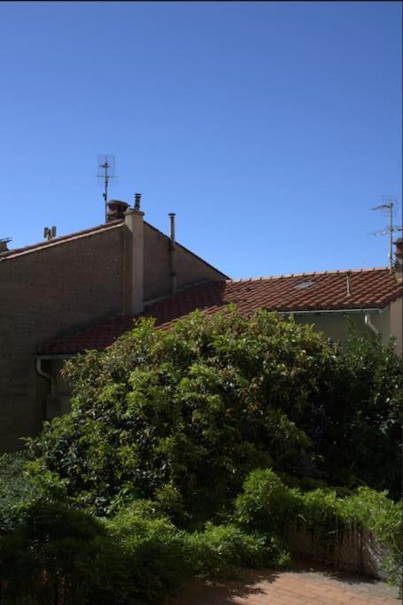 Apartmán La Jungle Urbaine Avec Garage Prive & Climatisation Perpignan Exteriér fotografie